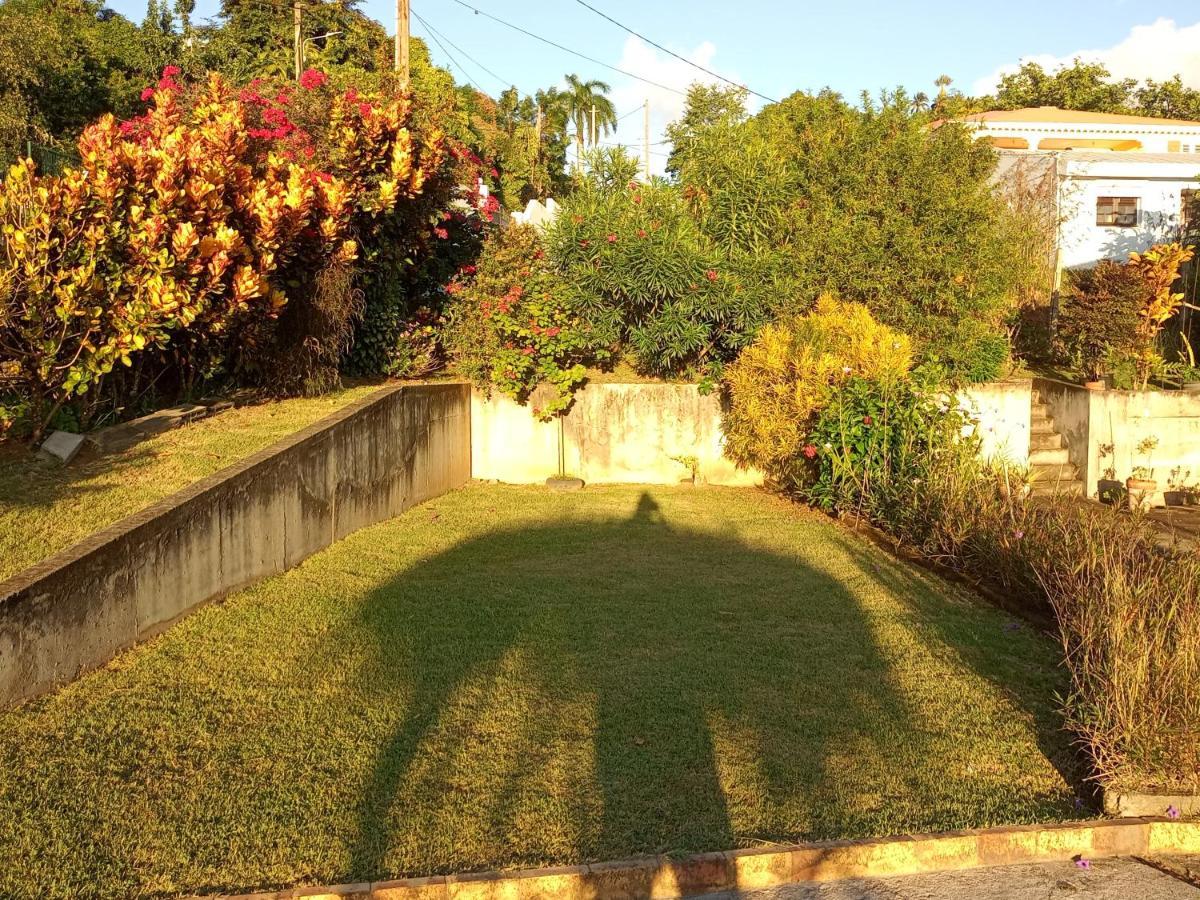 Charmant Appartement Verdoyant Le Morne-Vert Εξωτερικό φωτογραφία